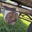 flat-hay-rack,-94”x13.5’,-2”-wood-deck,-on-4-wheel-gear,-16”-tires,-hoist-image-4