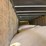great-dane-53-image-17