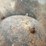 gypsy-cast-iron-cauldron-image-4