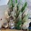 pepsi-wood-crate-of-classic-glass-soda-bottles-image-3