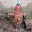 #2993-•-fire-hydrant-image-1