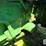 1980-john-deere-8640-image-16