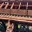 #113-•-mellott-log-trough-image-3