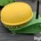 2010-john-deere-starfire-3000-image-10
