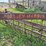 massey-harris-steel-wheel-side-rake-image-5