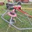 bush-hog-ht210-image-5
