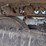 caterpillar-312-image-40