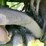 john-deere-5020-image-31