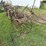 massey-harris-steel-wheel-side-rake-image-11