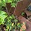 #104-•-scrap-steel-image-18