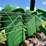 2005-john-deere-893-image-20