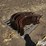 case-ih-2588-image-3