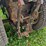 #3019-•-simplicity-sovereign-3416-h-lawnmower-image-6