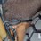 2003-case-580m-image-24
