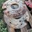 4-wheel-weights-image-4