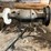 #3061-•-central-machine-12"-disc-sander-image-5