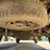 2001-chevrolet-1500-image-26