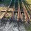 4-cattle-panels-image-7