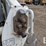 2012-bobcat-s650-image-15
