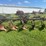 john-deere-plow-image-6