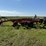 case-ih-730b-ecolo-tiger-disk-ripper,-rear-leveler,-30”-spacing,-2-bearings-are-out-but-2-good-used-image-4