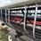 2009-case-ih-2020-image-13