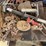 roller-table,-with-large-log-chain,-and-more,-buying-all-for-one-money-image-3