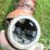 kewanee-500-image-11