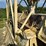 #130-•-sawdust-hoppers-image-10