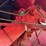 case-ih-2188-image-30