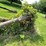 #5487-•-farm-king-grain-auger-elevator-image-16