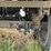 2015-great-dane-53ft-image-15