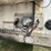 2016-great-dane-53ft-image-8