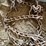 #5526-•-tractor-tire-chain-image-6
