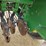 john-deere-8300-image-21