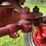1944-farmall-hv-image-19