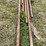 #251-•-carriage-tracks-image-3