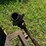 #5482-•-homemade-heavy-duty-log-splitter-image-9