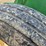 john-deere-8100-image-27