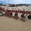 #265-•-ih-720-4-bottom-20"-semi-mount-plow-image-7