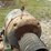 #156-•-wagner-electric-motor-image-13