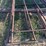 4-cattle-panels-image-3