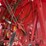 2015-new-holland-roll-belt-560-image-42