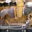 2005-peterbilt-379-image-8