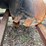 #202-•-lowe-18"-auger-bit-image-3