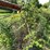 #5487-•-farm-king-grain-auger-elevator-image-13