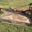 6-foot-bush-hog,-three-point-hitch-image-5