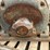 #156-•-wagner-electric-motor-image-9
