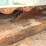 #137-•-diehl-750-straight-line-rip-saw-image-10