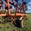 krause-mod.-3121-landsman,-21’-image-13